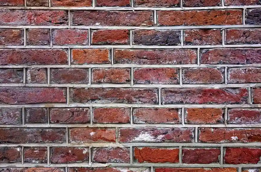 Efflorescence / Salt Leaching (White Crusty Deposits)